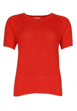 Modekleidung -Modekleidung 02 032410048489